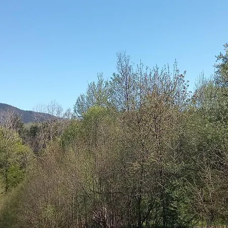 Vorauf Alpenrosenweg 4c Apartmán Siegsdorf